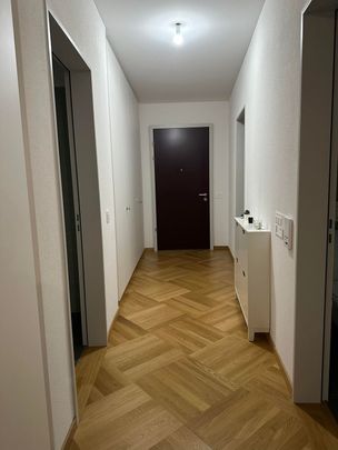 Rent a 3 ½ rooms apartment in Affoltern am Albis - Photo 1