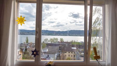 4½ Zimmer-Wohnung in Zürich - Kreis 8 Riesbach, möbliert, auf Zeit - Photo 5