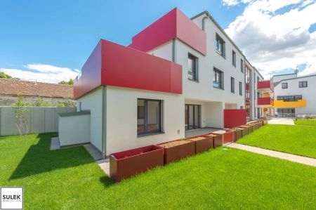 Helle 2-Zimmer Wohnung mit Terrasse im Projekt Wallner-Hof // ab 1.12. verfügbar! - Photo 2