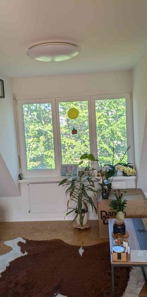3 Zimmer, 66 m², 3. Stock - Foto 1