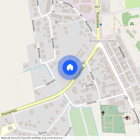 ul. Poznańska, Niepruszewo, Buk, poznański, wielkopolskie