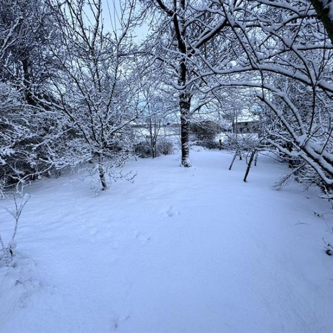 Woodbine Cottage, Wormhill - Photo 1