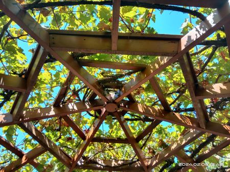 74A Short Street, Joondanna, WA 6060 - Photo 3