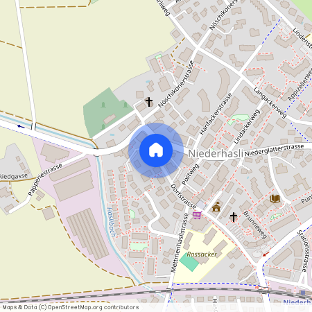 Auf Anfrage, 8155 Niederhasli