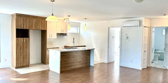 Logement 2 Chambres 1 Salle de Bain - Demi-sous-sol - Bois Des Filion - Photo 2