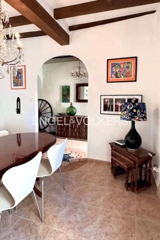 Oliva - Photo 5