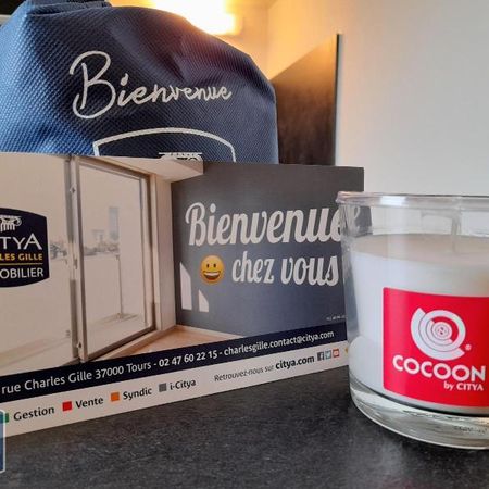 Location Appartement 1 pièce 25m² TOURS 37000 - Photo 4