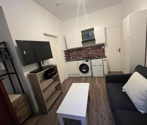 Location Appartement 1 pièces à Perpignan - Photo 2