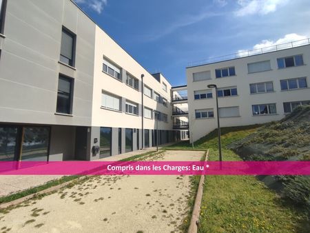 Location Appartement 1 pièce 19m² AUZEVILLE TOLOSANE 31320 - Photo 5