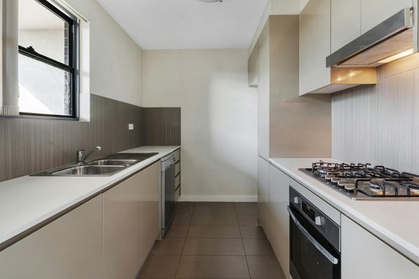 Unit 6/2 Bigge Street - Photo 1