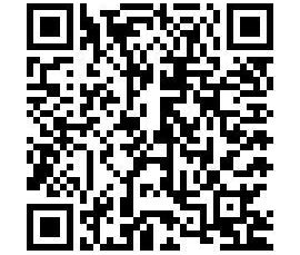 1-Raum-Wohnung mit Terrasse u. Stellplatz - Photo 4