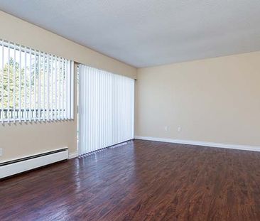 Park Villa Apartments - 1 Bedroom - Photo 4
