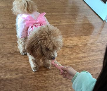 Edmondson Park - Photo 4