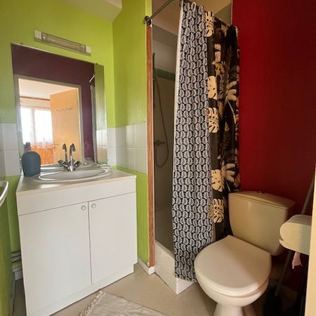 POITIERS, RUE DE LA PLAINE, STUDIO MEUBLE AVEC PARKING - Photo 4