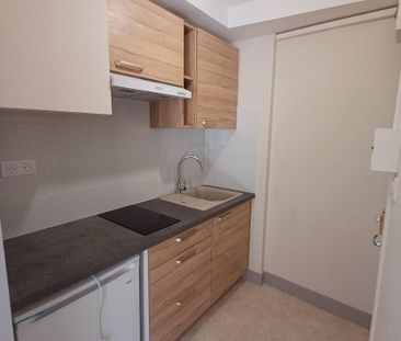 Location Appartement 1 pièce 20m² MILLAU 12100 - Photo 2
