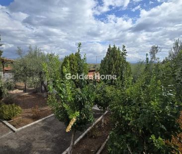 Μονοκατοικία για ενοικίαση - Ανθηδώνος, - Photo 6