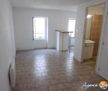Location Appartement 1 pièce 20m² NARBONNE 11100 - Photo 1
