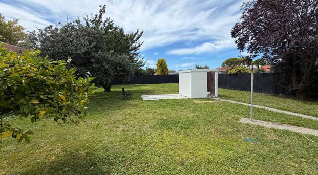 1007 Pukatea Street, Saint Leonards, Hastings - Photo 1