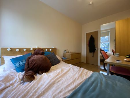 Richmond Road, Cathays - Photo 4