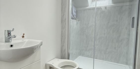 Harriet Street, Cathays - Photo 3