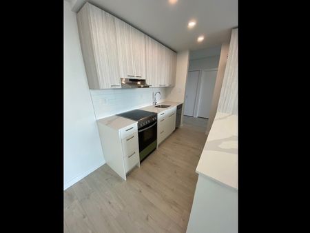 YORK HOUSE - Photo 2