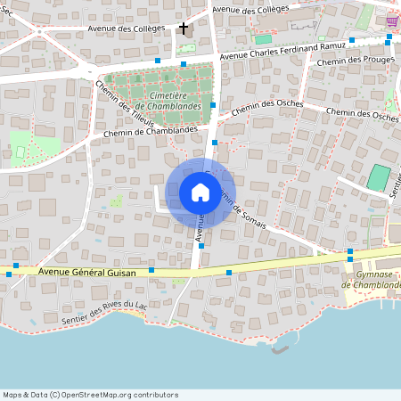 1009, Pully, Avenue De Villardin