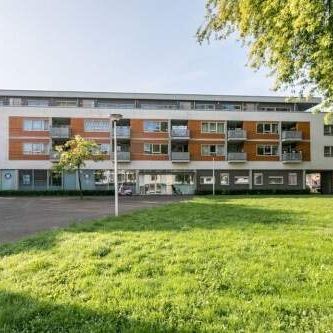 Appartement Clavecymbelstraat, Maastricht - À Louer - Foto 2