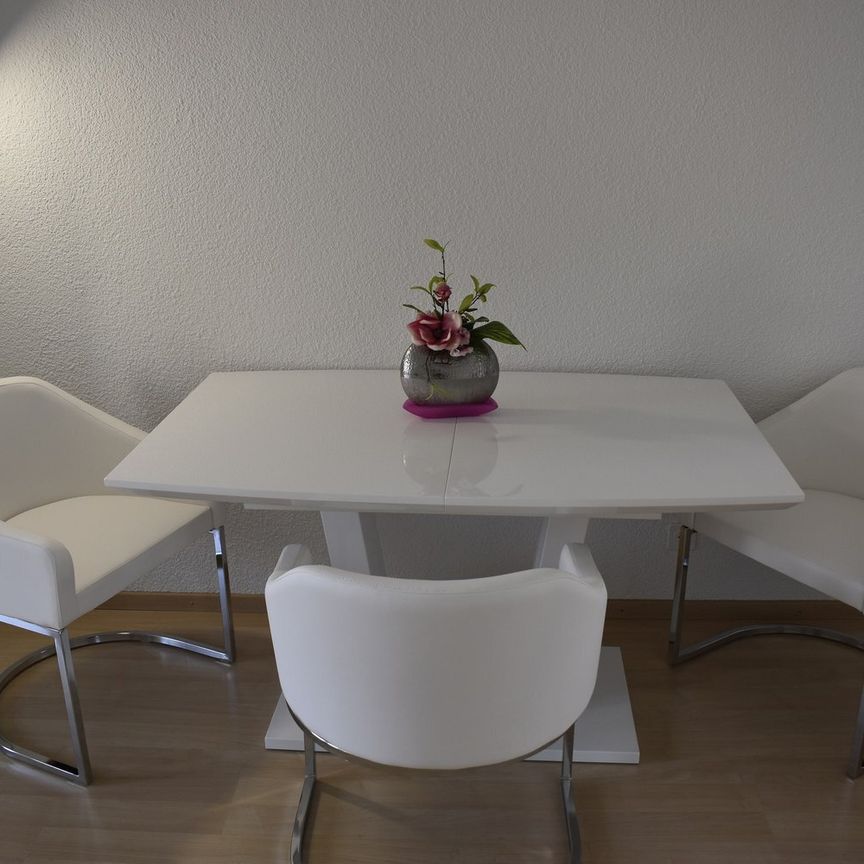 Appartement Dällikon - 1 pièce - Photo 1