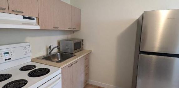 LOFT TOUT INCLUS (WIFI MEUBLES CHAUF ECL) - Photo 2