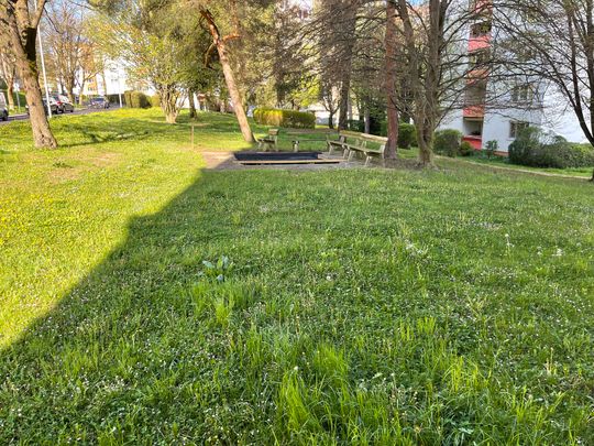 Großzügige Wohnung mit Balkon und Blick ins Grüne - Foto 1