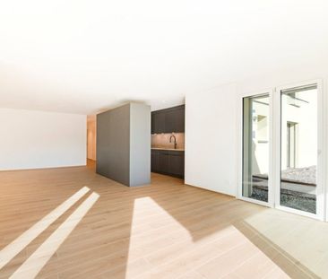 3.5 Zimmer, EG - Photo 3