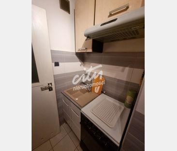 Szczecin - Zdjęcie 5