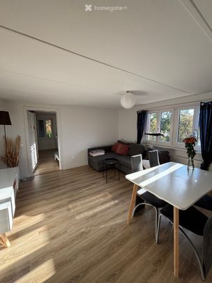 3.5-Zimmer-Wohnung in Gebenstorf – Nachmieter ab 01.12.2026 gesucht - Photo 1