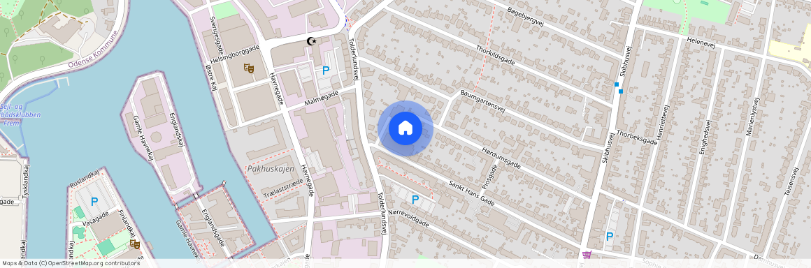 Skt. Hans Gade 83, st. tv, 5000, Odense C