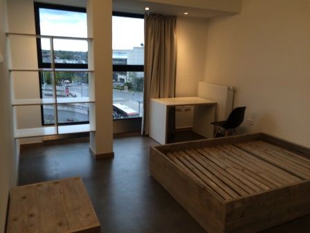 FOR STUDENTS ONLY! Studio for rent at THE LINK - Photo 1