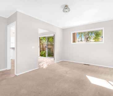 LEAFY HOME WITH LOADS OF NATURAL LIGHT - Photo 2