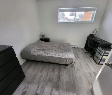 Chambre à louer - fraîchement rénovée - Photo 3