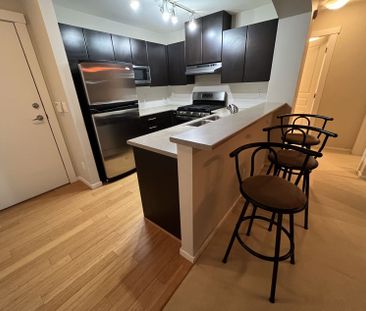 Exceptionally Spacious Furnished Ground Level 2 bed/2 bath near SFU - Photo 3