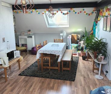 Colocation chaleureuse - Photo 2