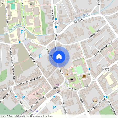 Koolmijnlaan 31 / 7, 3580 Beringen