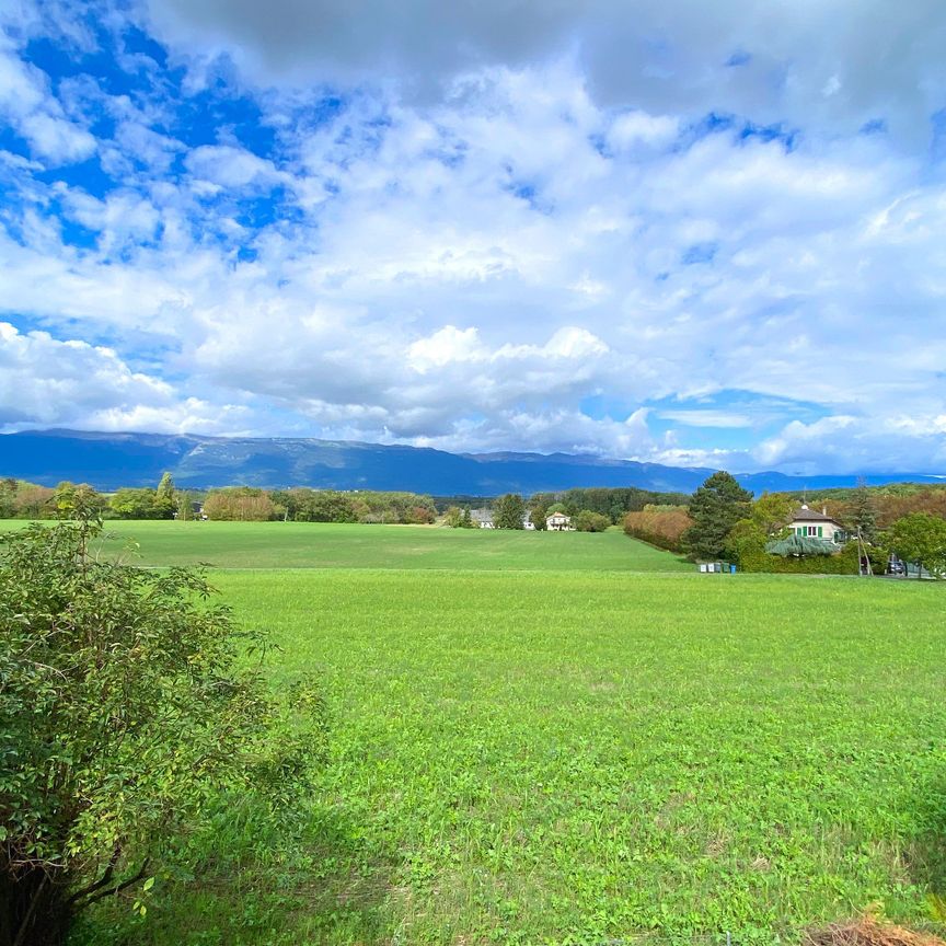 Grande Villa mitoyenne 5,5 pièces à Bernex - Photo 1