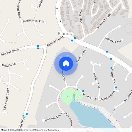 17 Esperance Close, Qld 4221, Elanora