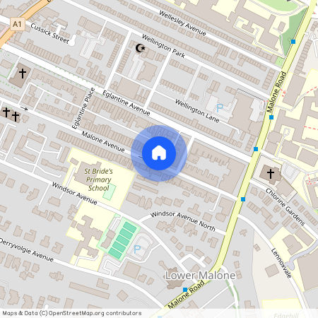 31 Malone Ave Apt 1, Belfast, BT9 6EP