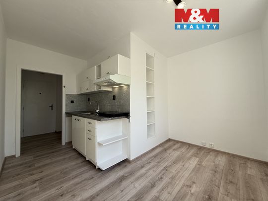 Pronájem bytu 1+1 42 m² - Photo 1