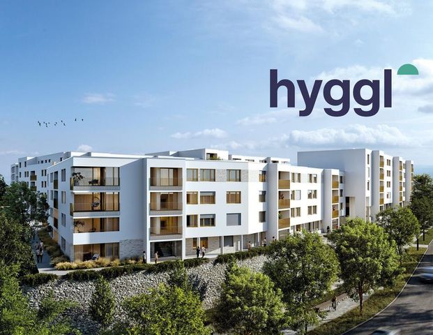 Nachhaltig wohnen in Top-Lage: Neubau zur Miete ab Juli 2026! Wohnung 2.22 - Foto 1