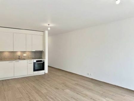 Reprise de bail d'un appartement 32.9 m2 - Foto 3