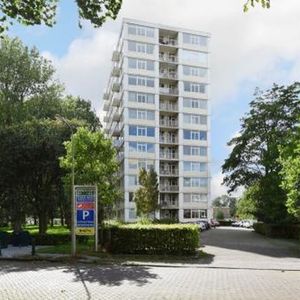 Tarwekamp 2592 XG 's-Gravenhage - Photo 3