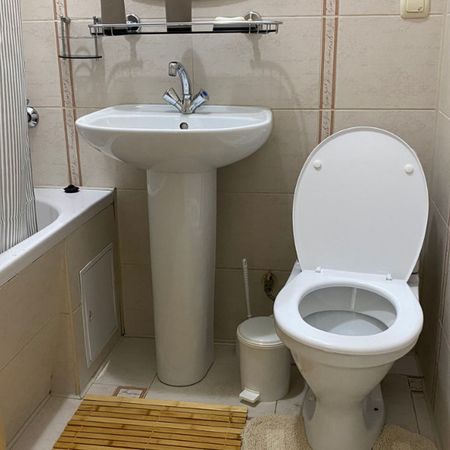 Apartament cu 2 camere de inchiriat in zona Teiul Doamnei - Fotografie 4