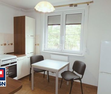 Mieszkanie na wynajem Przygodzice - Mieszkanie 2 pokojowe w bloku - Zdjęcie 3