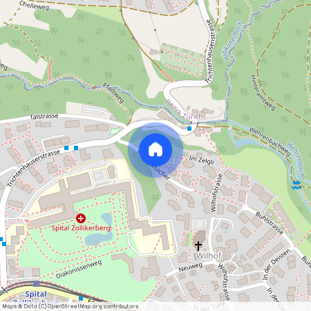 Im Grossacher 1, 8125, Zollikerberg